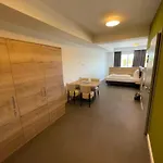 Am Pferdemarkt 酒店 奥利希